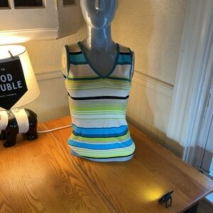 Valerie Stevens Multicolor Striped Tank Top